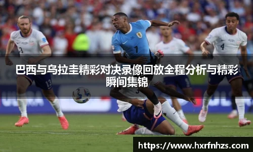 中欧体育网址